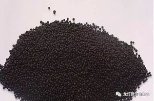 有機(jī)肥效果好,但千萬(wàn)不要犯這些錯(cuò)誤——生物質(zhì)能技術(shù)服務(wù)指南